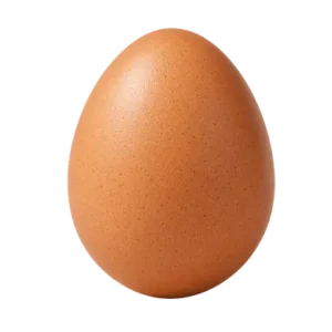 jajko od kur z fermydybas