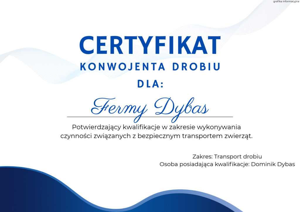 Certyfikat 1