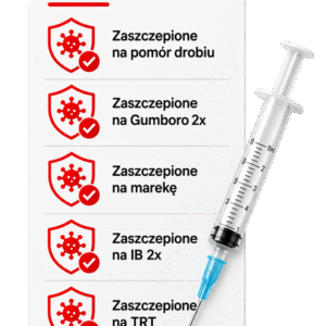 pakiet szczepień kur w fermydybas